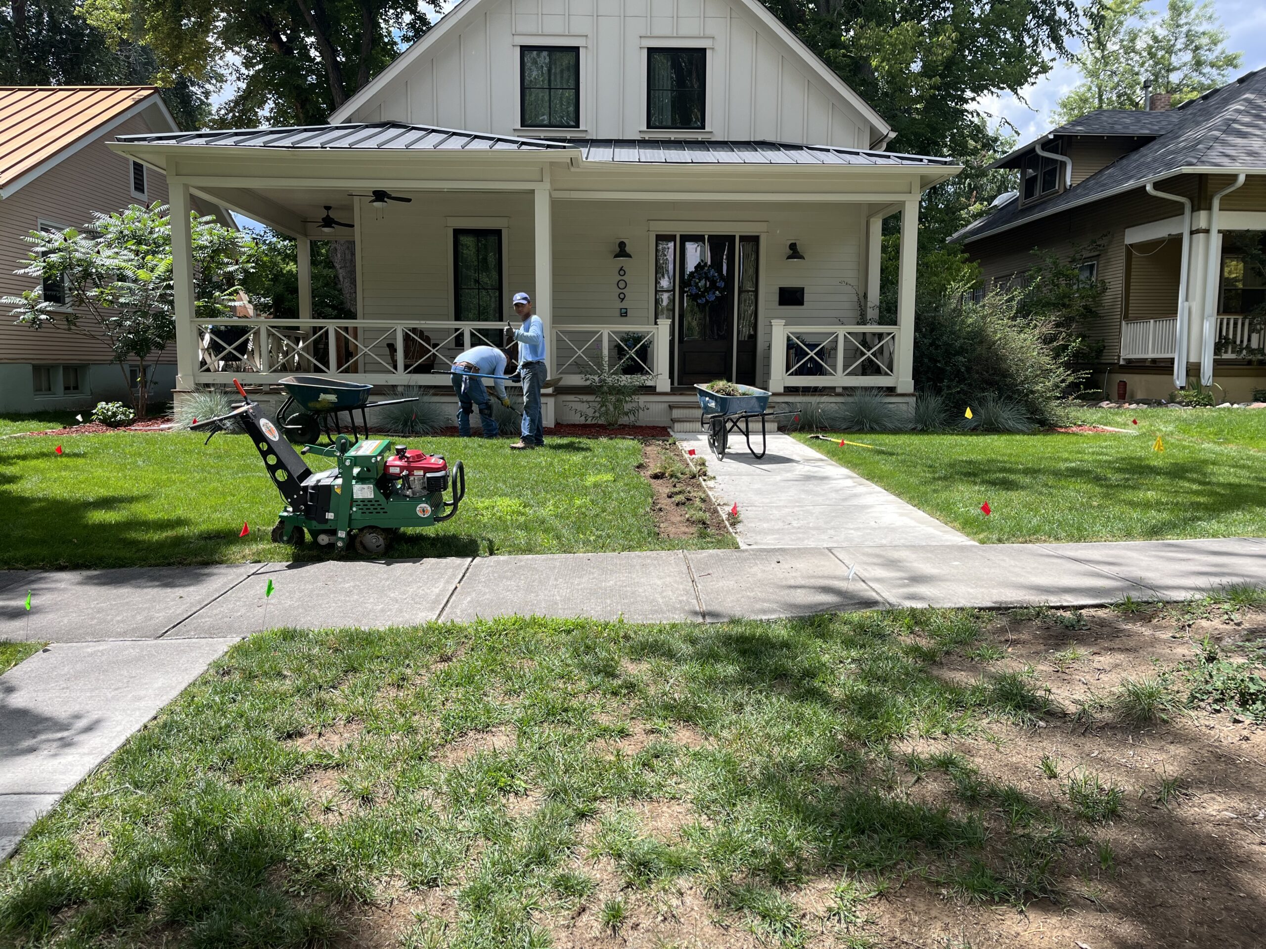 turf to landscape demo 3